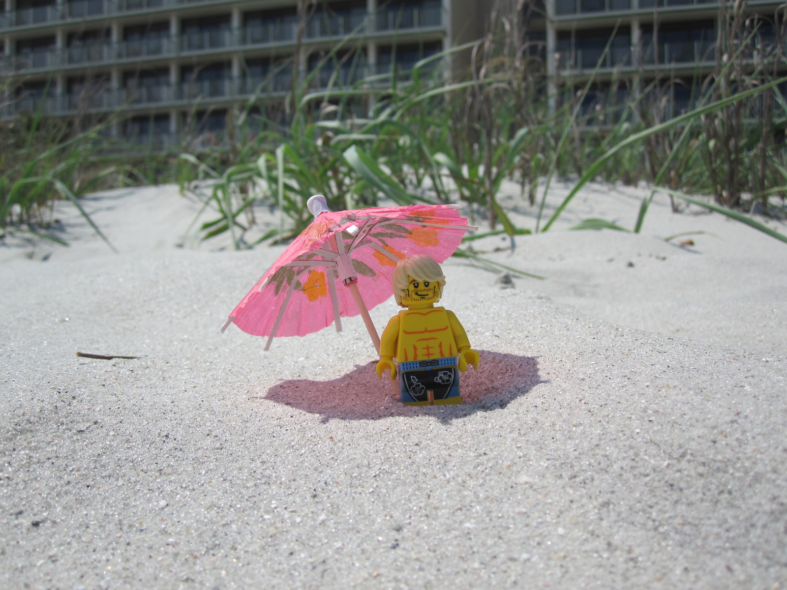 LEGO surfer